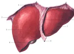 f抙眽6H┚;寭wō?h??b肋N55€嫭.<a href=
